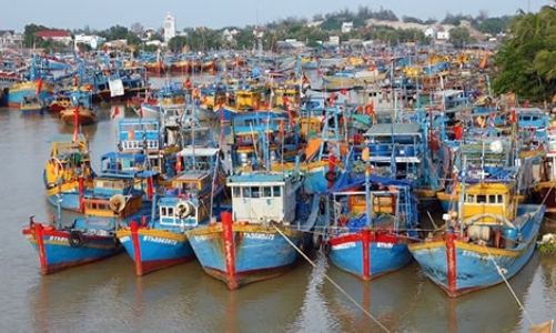 Quyết liệt chống đánh bắt IUU, số lượng tàu cá “3 không” giảm mạnh