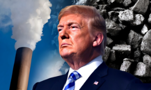 Kinh tế xanh sẽ đi về đâu dưới nhiệm kỳ Tổng thống Donald Trump 2.0?