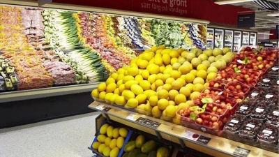 Vietnam eyes Swedish market for fresh produce exports