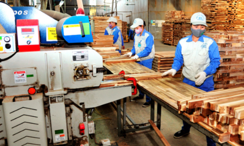 Ngành gỗ Việt Nam và Trung Quốc hợp tác xây dựng chuỗi cung ứng sản phẩm gỗ bền vững