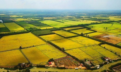 Đề xuất kéo dài miễn thuế sử dụng đất nông nghiệp đến hết năm 2030