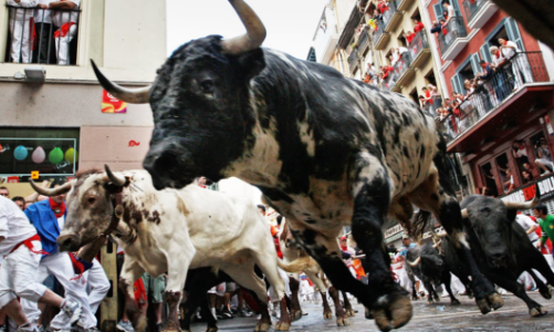 Chứng khoán tuần cuối cùng của năm: Sóng chốt NAV sẽ giúp VN-Index hồi phục mạnh? 