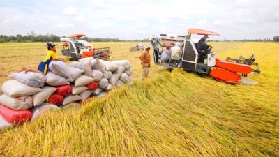 The Mekong Delta province of Dong Thap exported nearly 1.4 tons of rice 