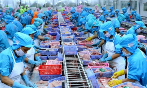 Xuất khẩu thuỷ sản cán đích 10 tỷ USD