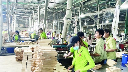 Vietnam's 2024 forestry export revenue estimated at $17.3 bln 