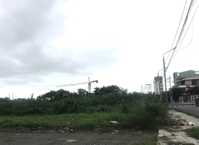 Khu đất trên địa bàn phường Nại Hiên Đông, Sơn Trà chưa đưa vào sử dụng, để cỏ mọc um tùm - Ảnh Ngô Anh Văn