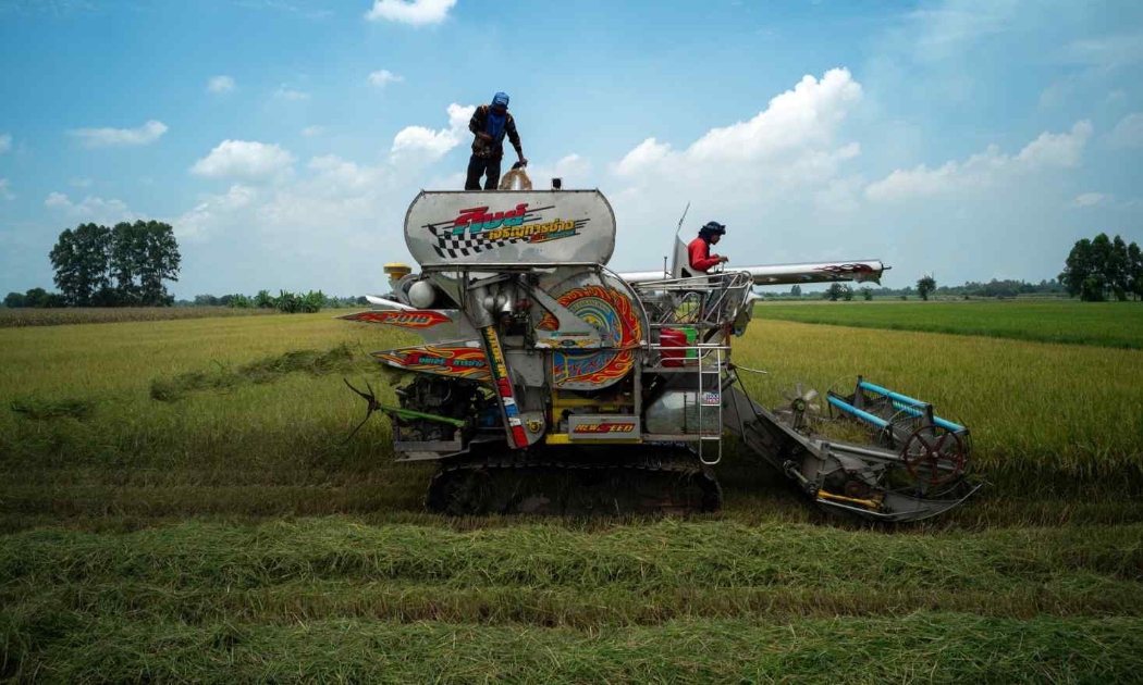 Nông dân thu hoạch lúa ở tỉnh Chainat, Thái Lan - Ảnh: Reuters