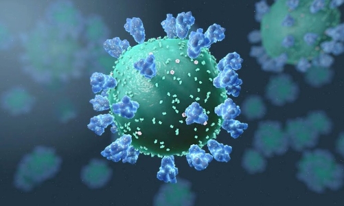 Dịch bệnh truyền nhiễm vẫn diễn biến phức tạp trong năm 2025 