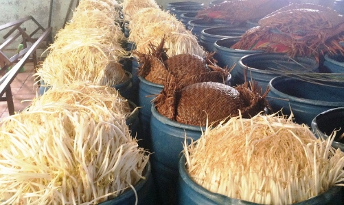 Bách hóa Xanh phản hồi về thông tin bán giá đỗ ngâm chất cấm 6-Benzylaminopurine