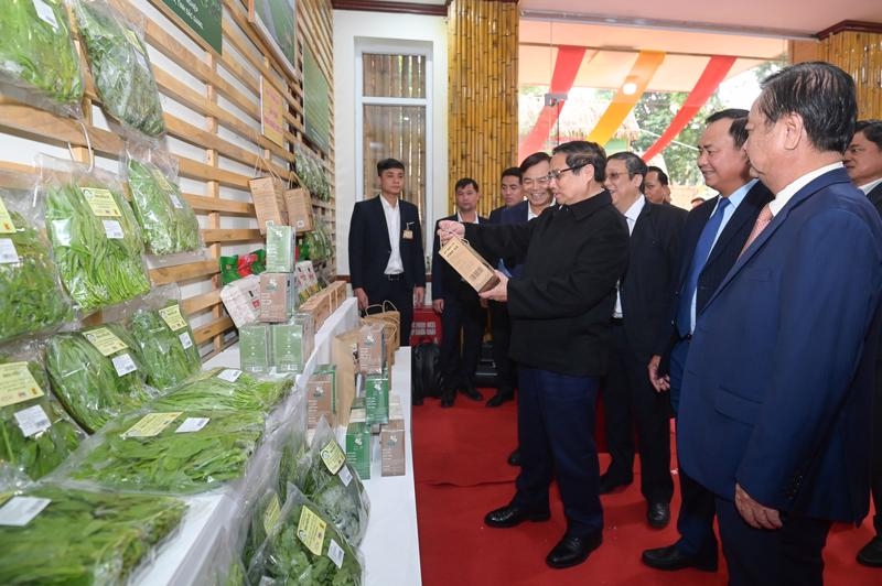 PM sets agricultural export value of $70 bln for 2025 