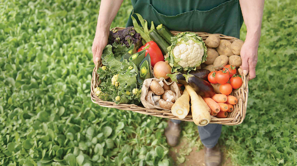 Nông sản hữu cơ chiếm ưu thế vượt trội