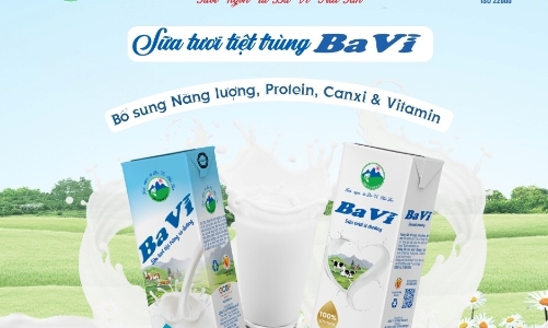 Sữa tươi tiệt trùng Ba Vì: Hành trình chinh phục lòng tin người tiêu dùng Việt