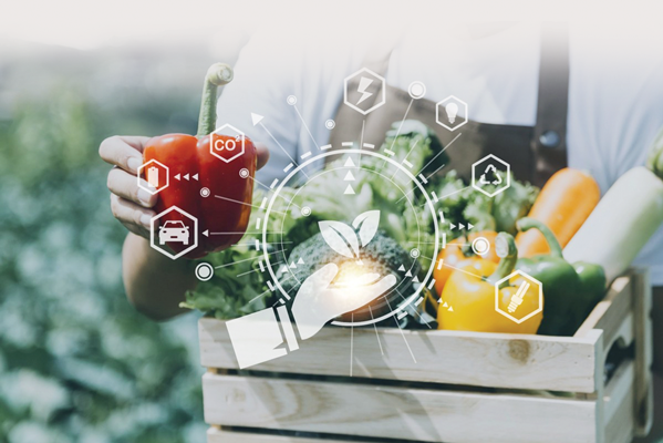 Agricultural sector records impressive growth in 2024