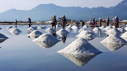 Traditionally-produced salt of Vietnam
