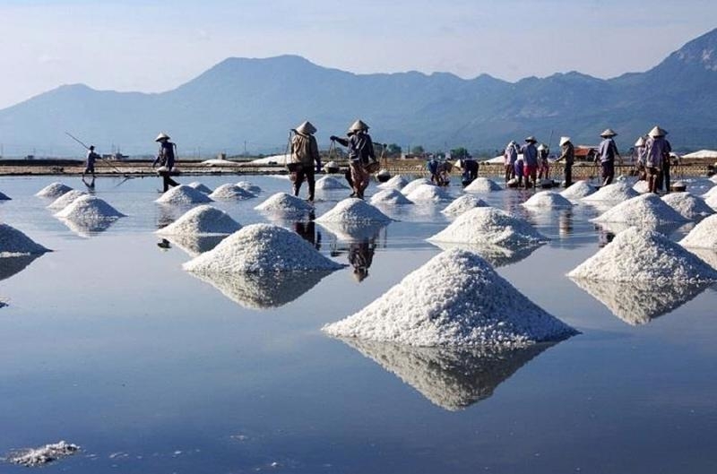 Traditionally-produced salt of Vietnam