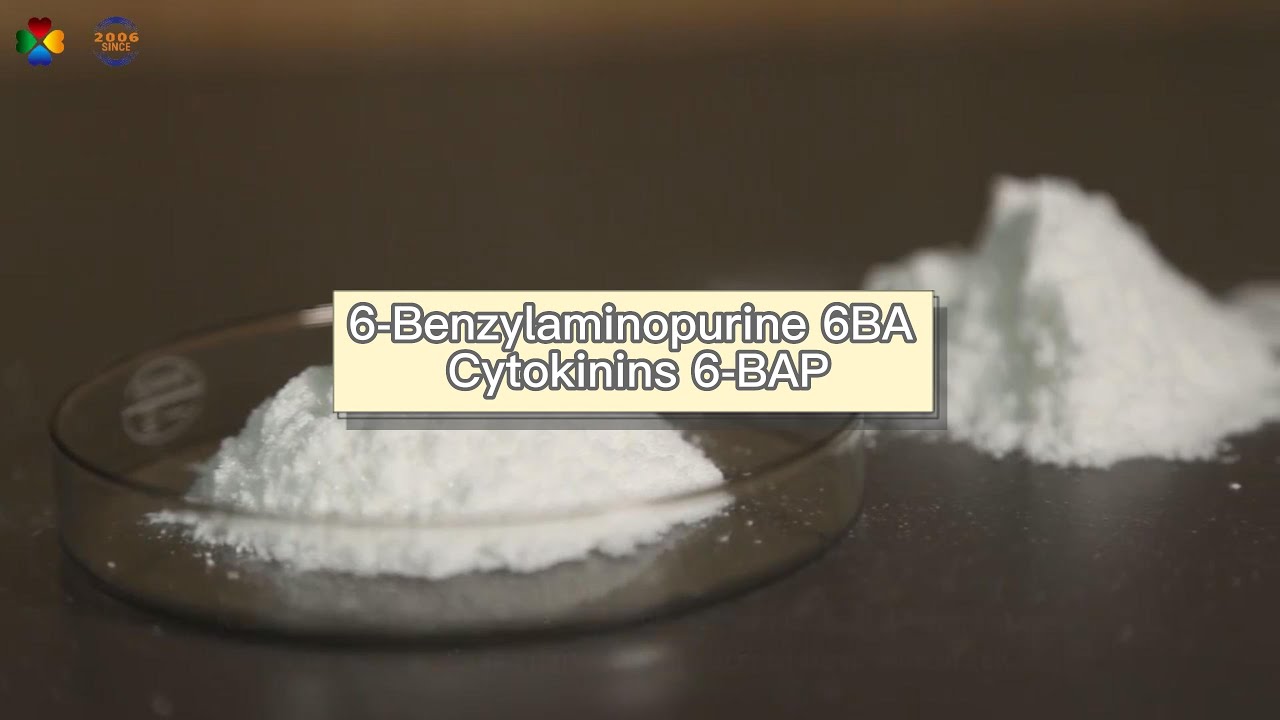 6-Benzylaminopurine (BAP) được biết đến với khả năng kích thích tăng trưởng tế bào thực vật.