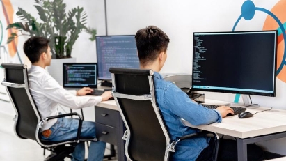 Software outsourcing: profitable niche for Vietnamese tech firms 