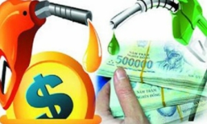 Vụ “ém” quỹ bình ổn xăng dầu và khoảng trống pháp luật