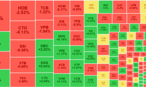 Cổ phiếu vốn hóa lớn phân hóa mạnh, VN-Index mất điểm phiên đầu năm