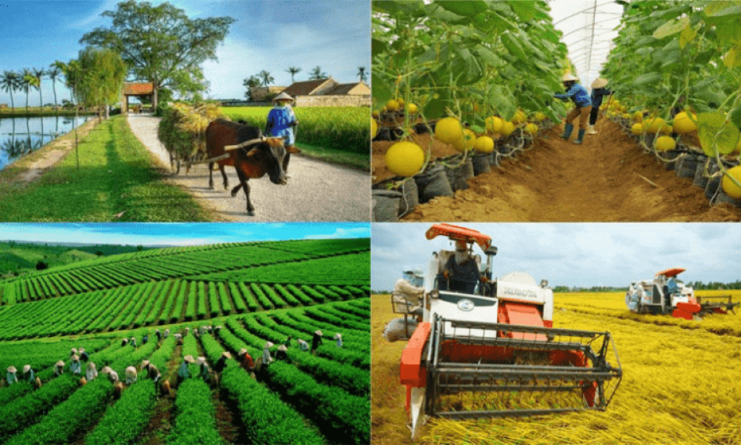 Ngành nông nghiệp năm 2024 đã có sự bứt phá mạnh mẽ, trong đó xuất khẩu nông lâm thuỷ sản đã mang về 62,5 tỷ USD cho đất nước.