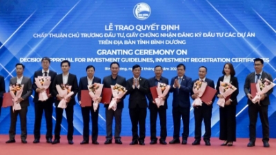 Binh Duong attracts $1.7 bln in domestic investment 