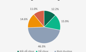 11% người khuyết tật cảm thấy "rất khó" khi tìm kiếm thông tin và hướng dẫn trên cổng dịch vụ công trực tuyến