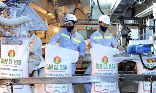 Biên lợi nhuận ngành phân bón dự kiến tăng cao nhờ giá dầu giảm mạnh trong năm 2025