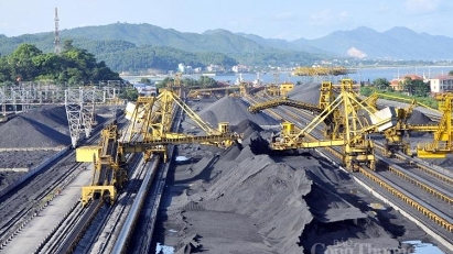 Coal and mine group earns revenue of $6.58 bln in 2024