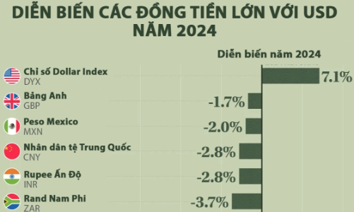 Biến động tỷ giá các đồng tiền lớn so với USD năm 2024