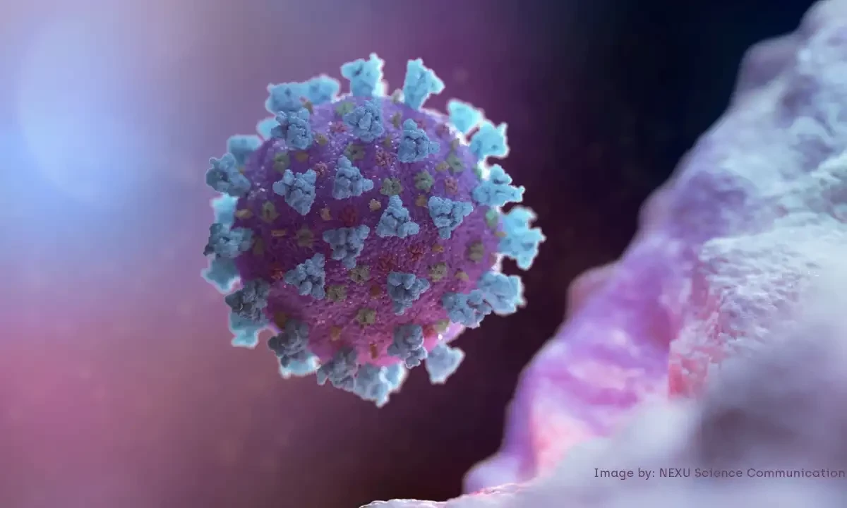 Từ giữa tháng 12/2024, số ca nhiễm metapneumo virus trên người (HMPV) tại Trung Quốc đã tăng lên.