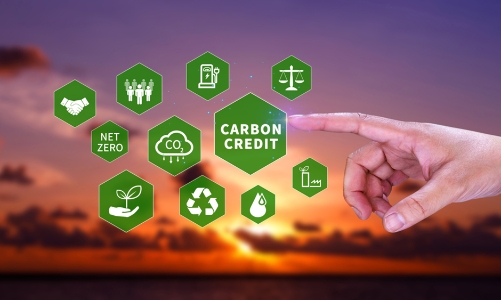 Tập trung chuẩn bị các điều kiện, tổ chức vận hành thị trường carbon trong nước