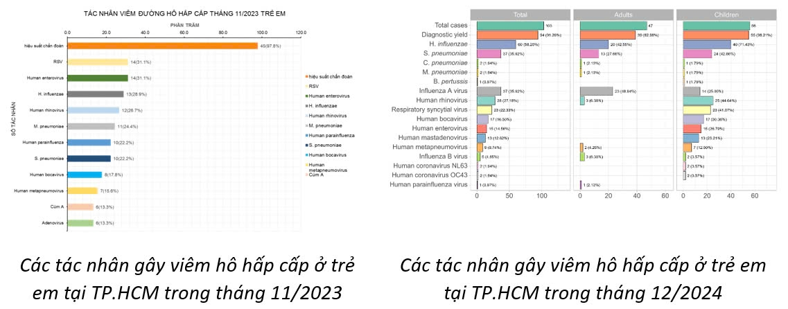 C&aacute;c t&aacute;c nh&acirc;n g&acirc;y vi&ecirc;m h&ocirc; hấp ở trẻ tại TP.HCM. Nguồn: Sở Y tế TP.HCM.