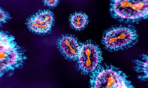 Virus HMPV gây bệnh viêm phổi ở Trung Quốc từng xuất hiện tại TP.HCM 