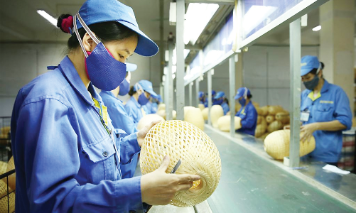 Hỗ trợ doanh nghiệp nhỏ và vừa tìm đường ra biển lớn