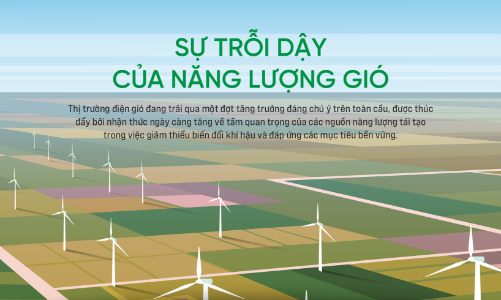 Sự trỗi dậy của năng lượng gió