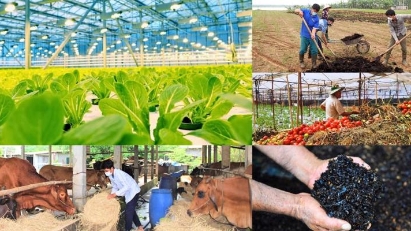 Vietnam to pilot circular economy in key sectors