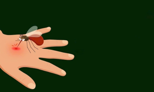 Vì sao cần đề phòng dịch sốt rét xuất hiện trở lại?