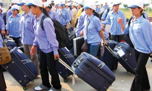 Chính sách mới đối với lao động Việt Nam đang làm việc tại Thái Lan