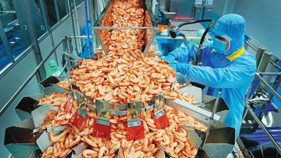 Vietnam shrimp exports hit $4 bln on rebounding demand