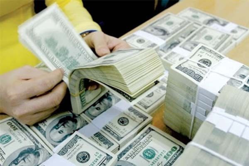 Vietnam's overseas investment estimated at $664.8 mln in 2024