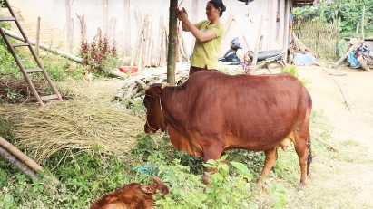 New statistical criteria for sustainable development released