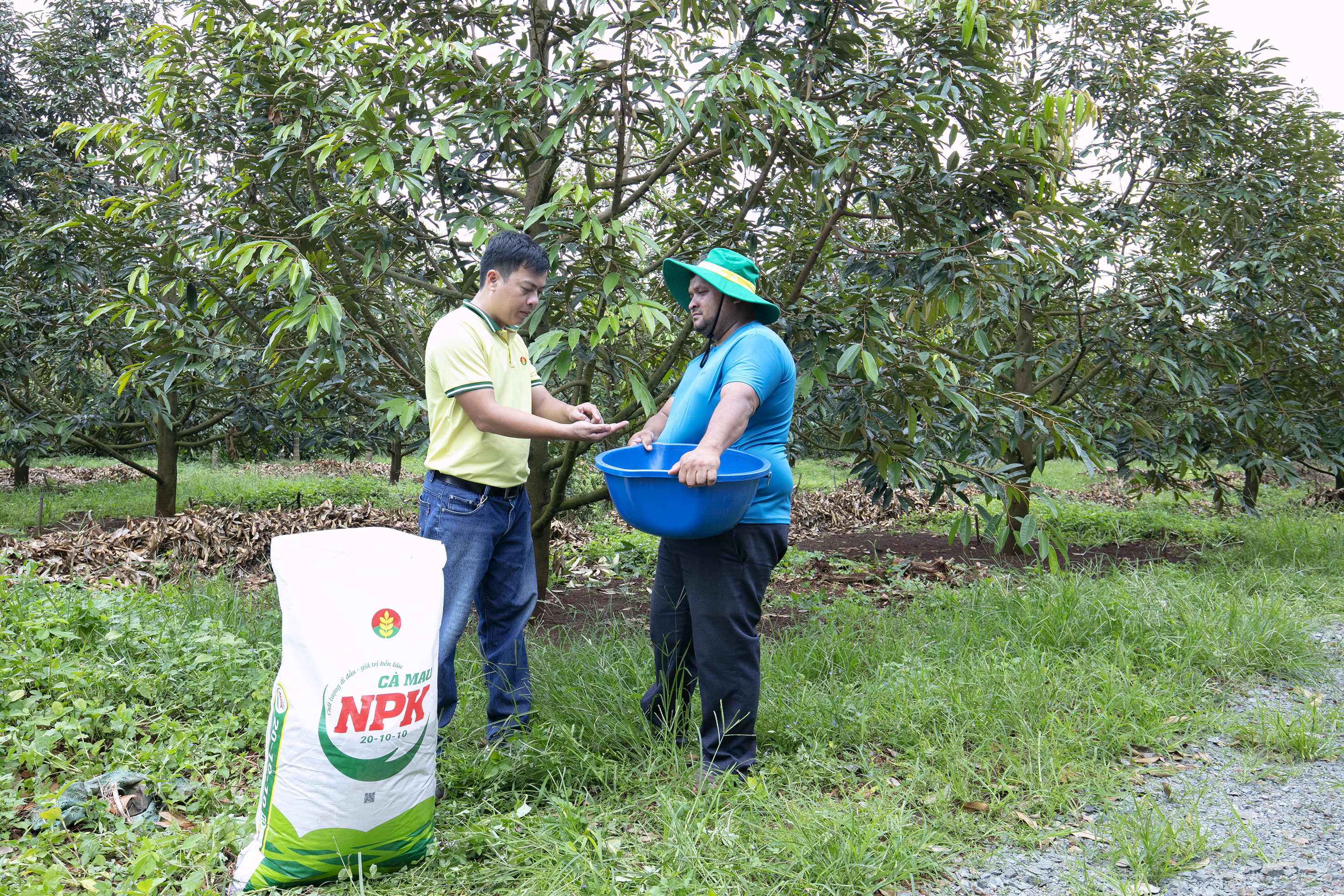 Kỹ sư PVCFC hướng dẫn bà con nông dân sử dụng sản phẩm.