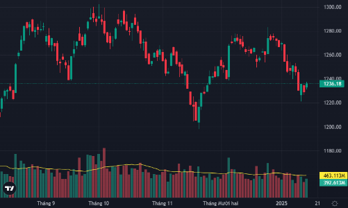 Cổ phiếu vừa và nhỏ nổi sóng, đầu tư công hút dòng tiền