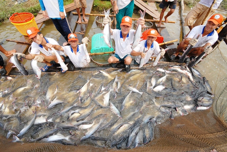 Tra fish export to US marks record high in 2024