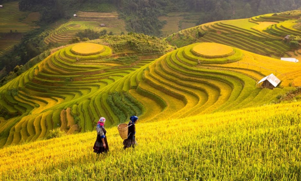 Nông nghiệp sinh thái, thông minh là hướng đi tất yếu.