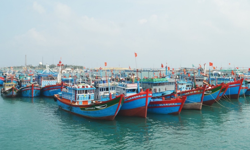Tính đến ngày 6/1/2025, tổng số đội tàu cá cả nước là 84.536 chiếc.