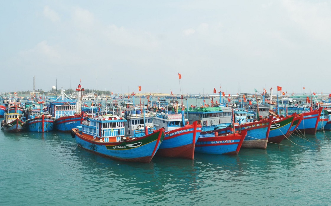 Tính đến ngày 6/1/2025, tổng số đội tàu cá cả nước là 84.536 chiếc.