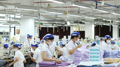 Textile and garment exports up for continued growth in 2025