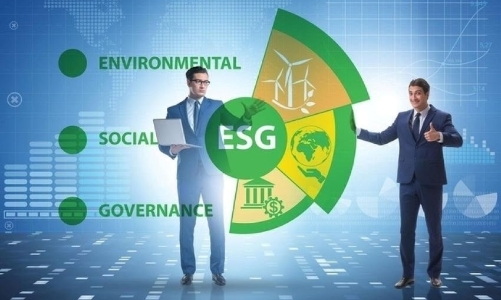 Không nên coi ESG “là món đồ trang sức”
