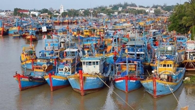  Continous efforts required  to combat IUU fishing  